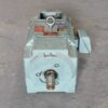 Reliance DC Motor 50HP 2500RPM USC2512ATZ - Image 4