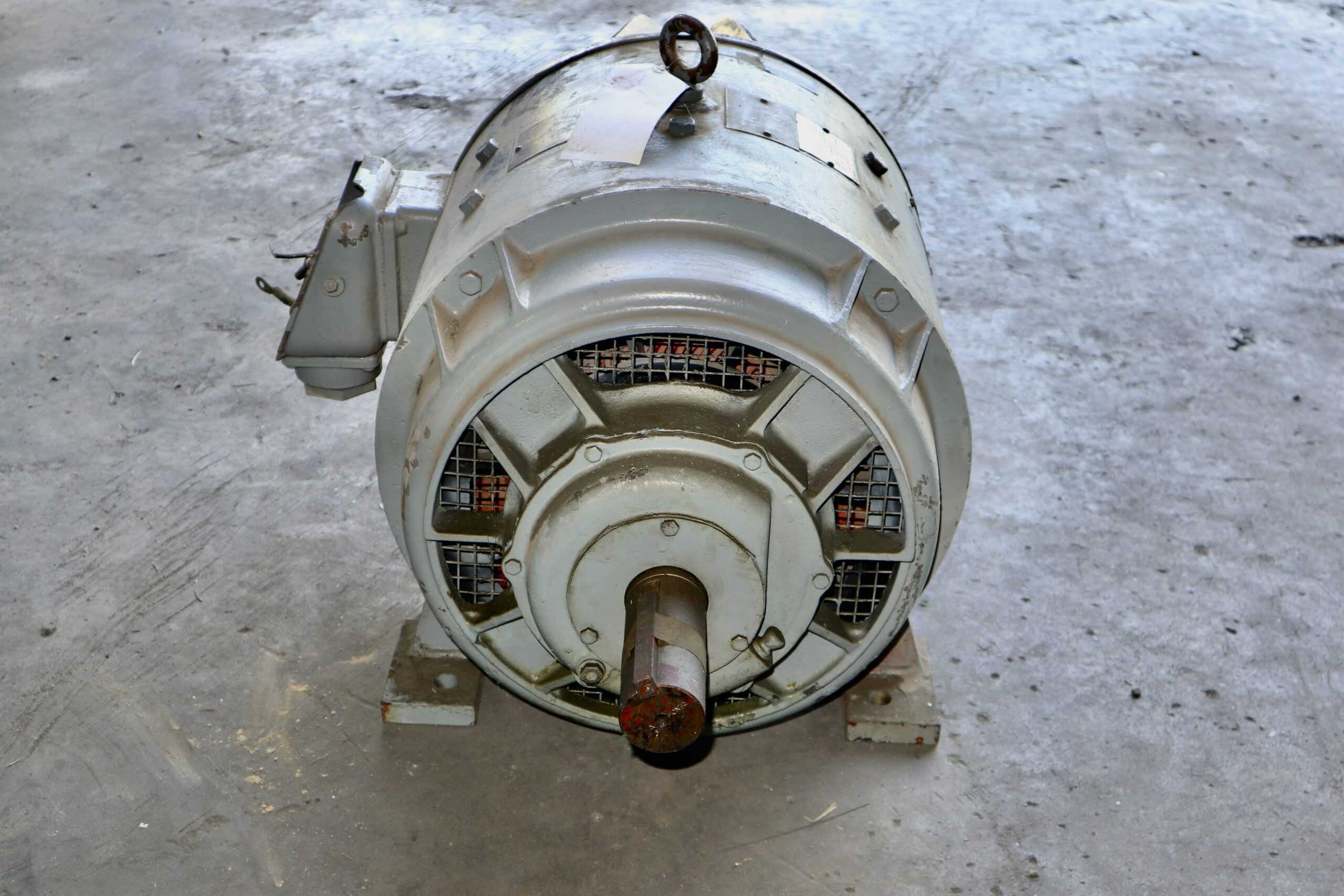 Bull Generator 25HP 1150RPM 366 - Image 3