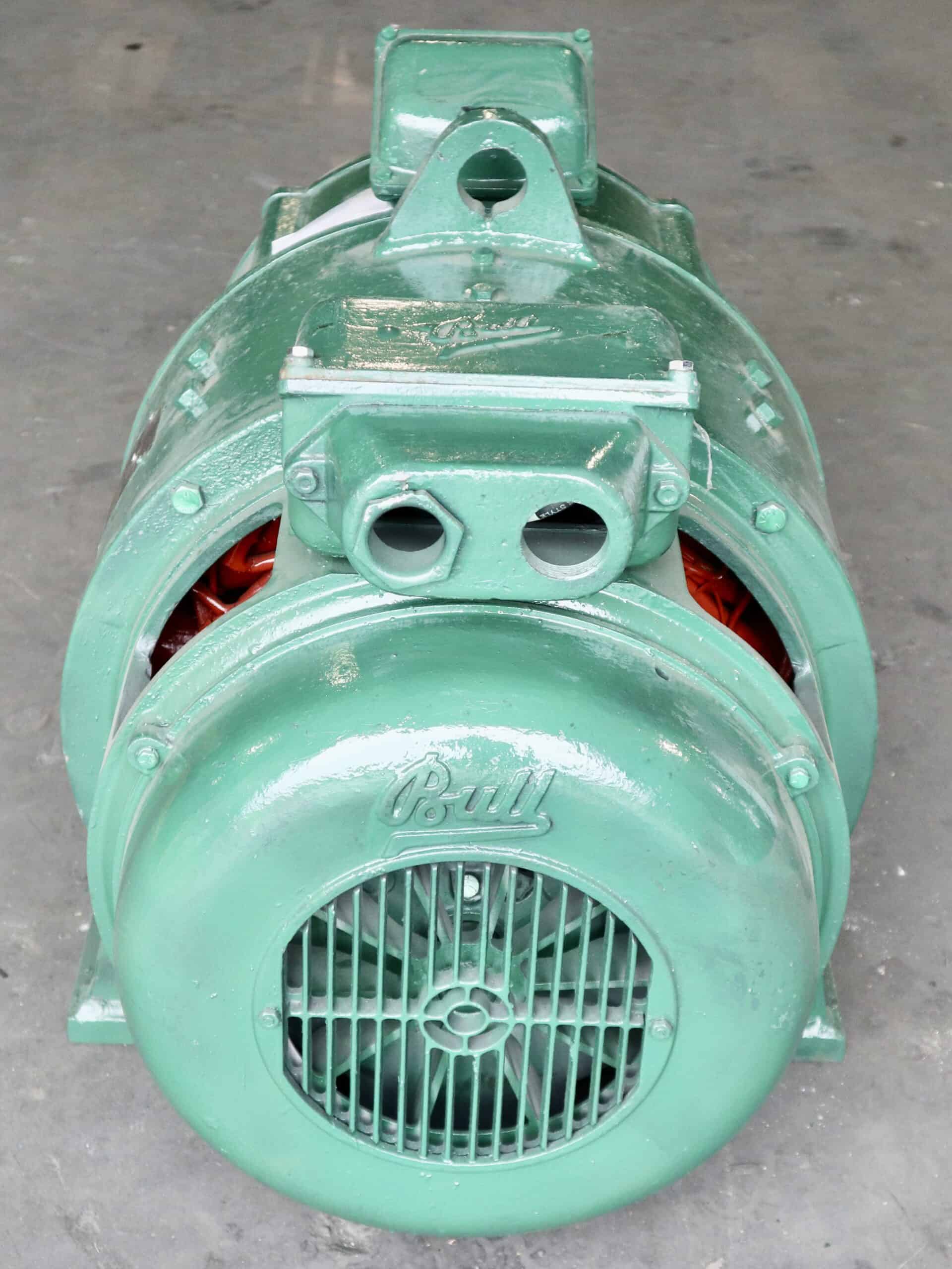 Bull Generator 22.5HP 15KW 1750RPM VV3 - Image 4
